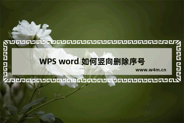 WPS word 如何竖向删除序号