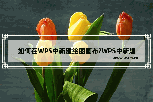 如何在WPS中新建绘图画布?WPS中新建绘图画布的方法技巧