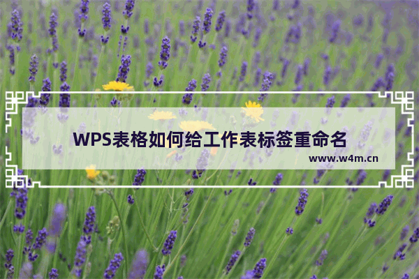 WPS表格如何给工作表标签重命名