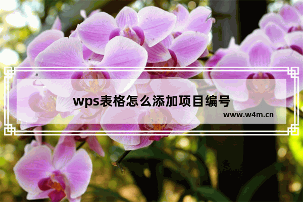 wps表格怎么添加项目编号