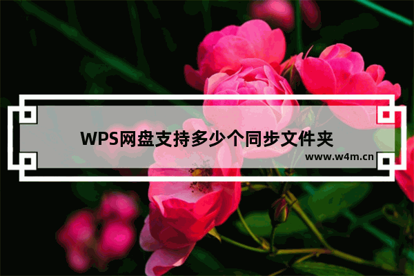 WPS网盘支持多少个同步文件夹