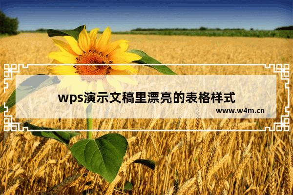 wps演示文稿里漂亮的表格样式