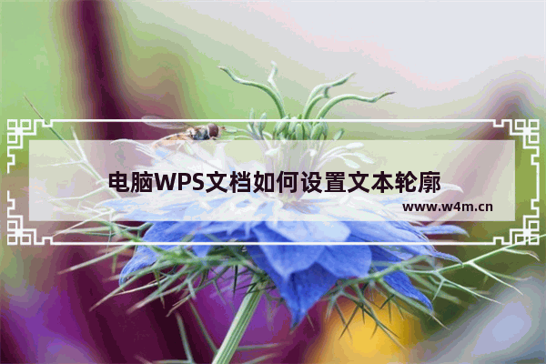 电脑WPS文档如何设置文本轮廓