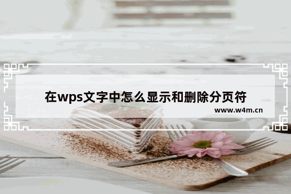 在wps文字中怎么显示和删除分页符