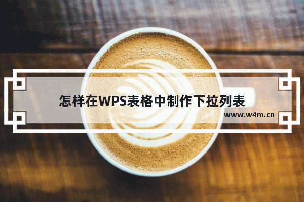 怎样在WPS表格中制作下拉列表