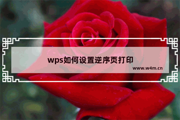 wps如何设置逆序页打印