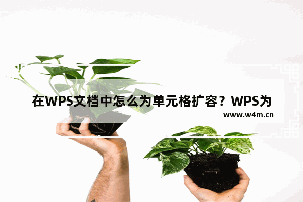 在WPS文档中怎么为单元格扩容？WPS为单元格扩容的教程