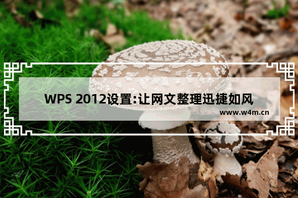 WPS 2012设置:让网文整理迅捷如风