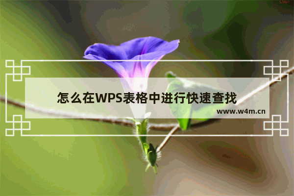 怎么在WPS表格中进行快速查找