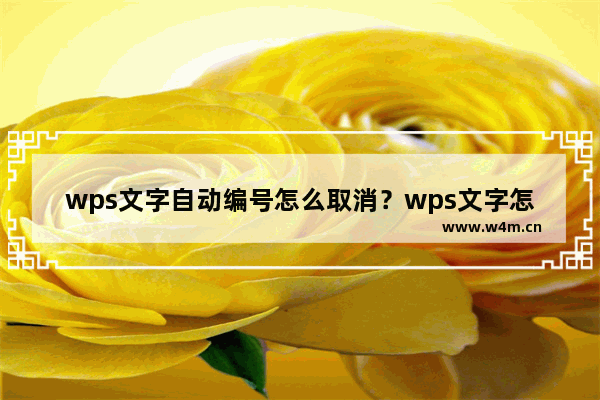 wps文字自动编号怎么取消？wps文字怎么取消自动编号？