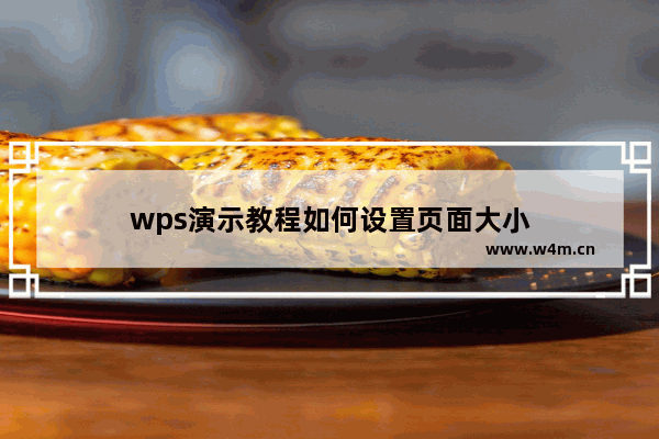 wps演示教程如何设置页面大小