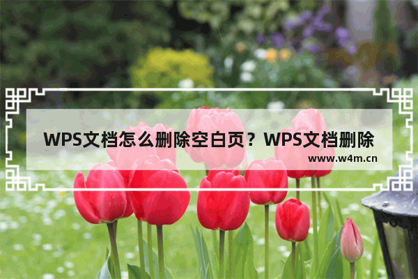 WPS文档怎么删除空白页？WPS文档删除空白页的方法