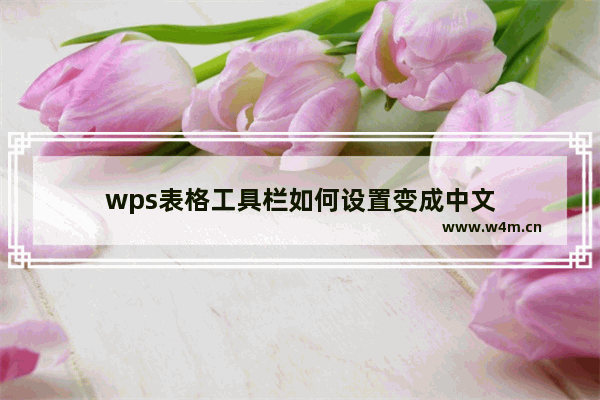 wps表格工具栏如何设置变成中文