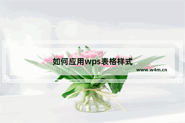 如何应用wps表格样式