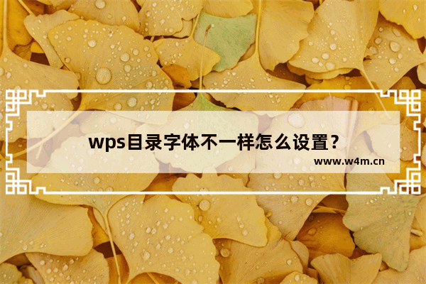 wps目录字体不一样怎么设置？