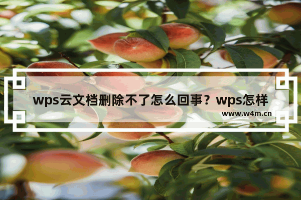 wps云文档删除不了怎么回事？wps怎样删除云文档？