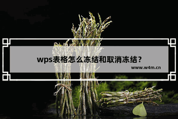 wps表格怎么冻结和取消冻结？