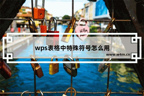 wps表格中特殊符号怎么用