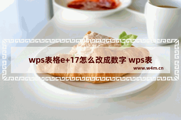 wps表格e+17怎么改成数字 wps表格怎么把代码变成数字教程