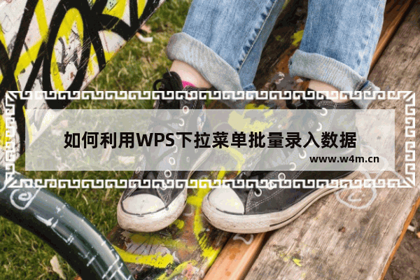 如何利用WPS下拉菜单批量录入数据