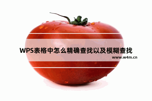 WPS表格中怎么精确查找以及模糊查找