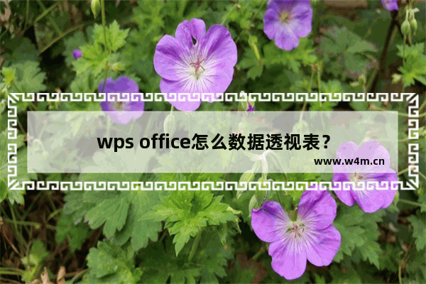 wps office怎么数据透视表？