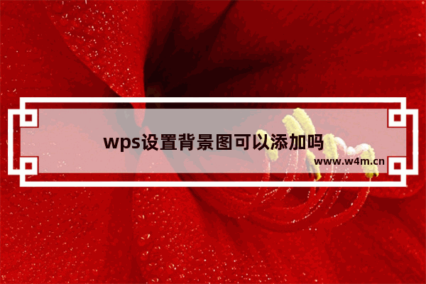 wps设置背景图可以添加吗