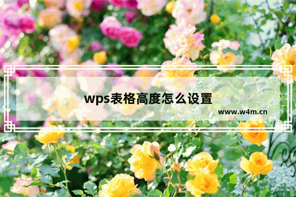 wps表格高度怎么设置