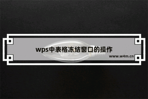 wps中表格冻结窗口的操作