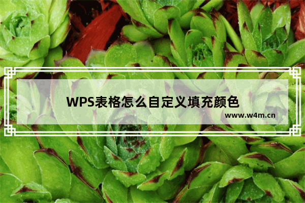 WPS表格怎么自定义填充颜色