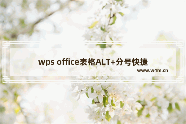 wps office表格ALT+分号快捷键失效解决办法