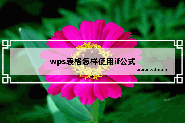 wps表格怎样使用if公式