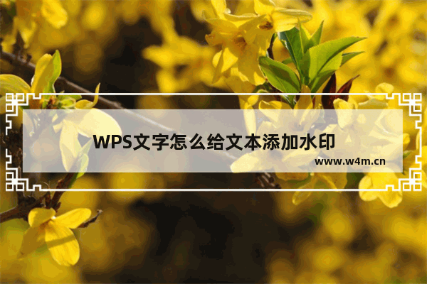 WPS文字怎么给文本添加水印