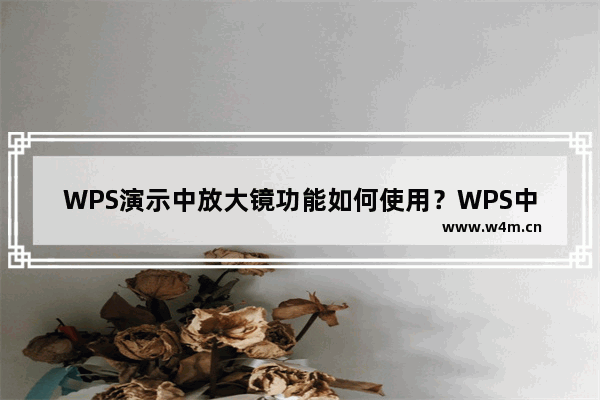 WPS演示中放大镜功能如何使用？WPS中放大镜功能的使用技巧