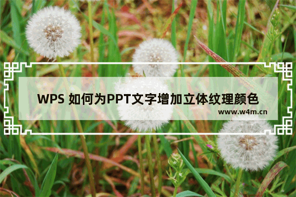 WPS 如何为PPT文字增加立体纹理颜色