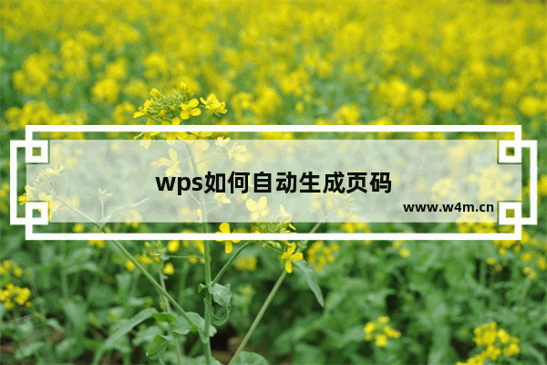 wps如何自动生成页码