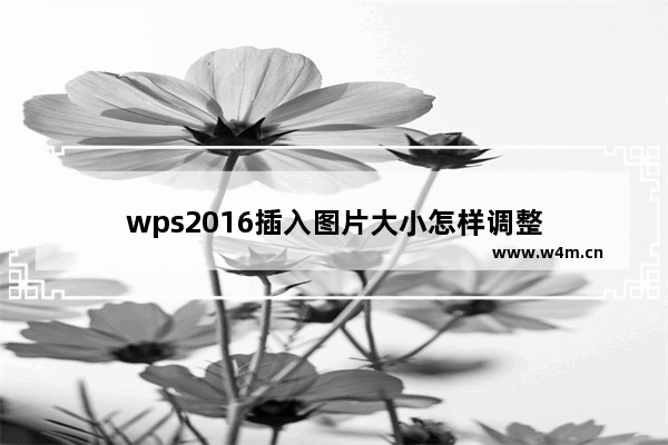 wps2016插入图片大小怎样调整