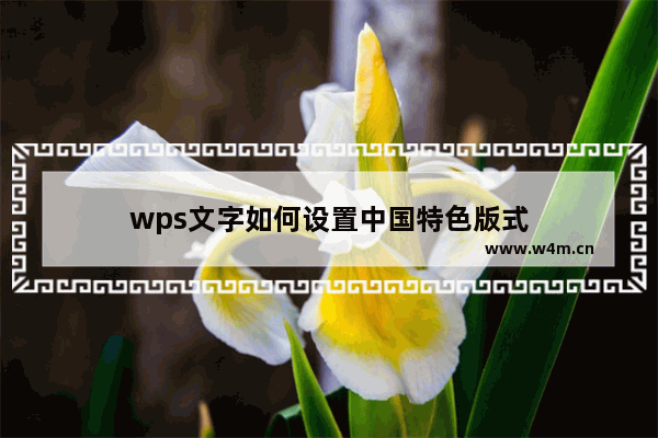 wps文字如何设置中国特色版式