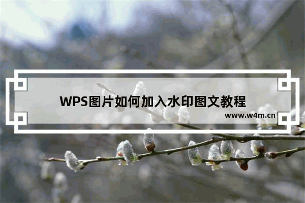 WPS图片如何加入水印图文教程