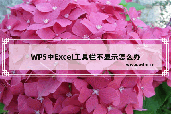 WPS中Excel工具栏不显示怎么办