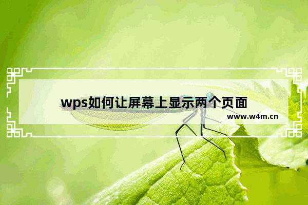 wps如何让屏幕上显示两个页面