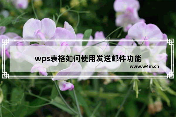 wps表格如何使用发送邮件功能