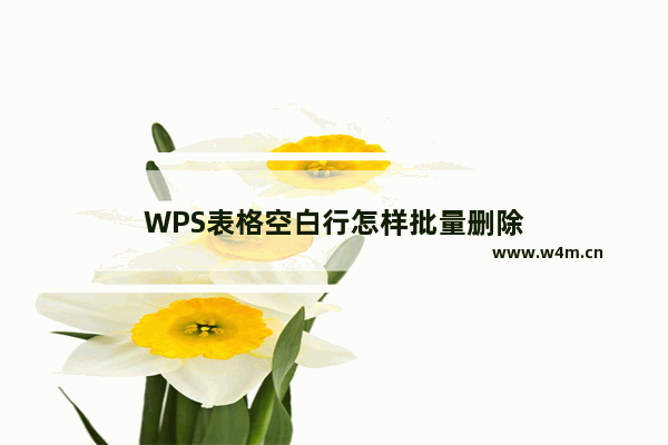 WPS表格空白行怎样批量删除