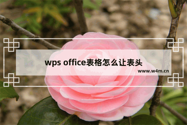 wps office表格怎么让表头