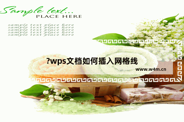 ?wps文档如何插入网格线