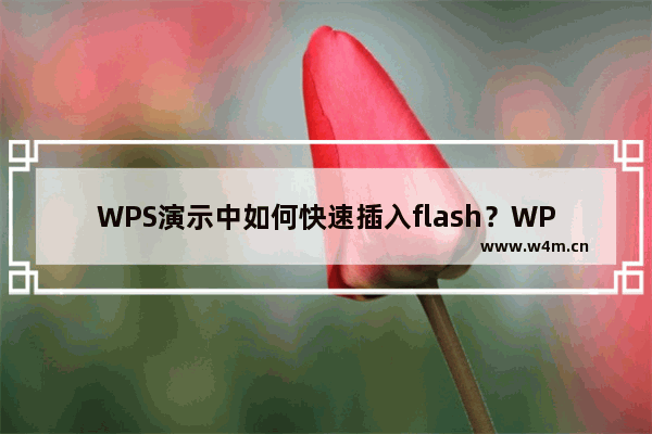 WPS演示中如何快速插入flash？WPS演示中插入flash的快捷方式