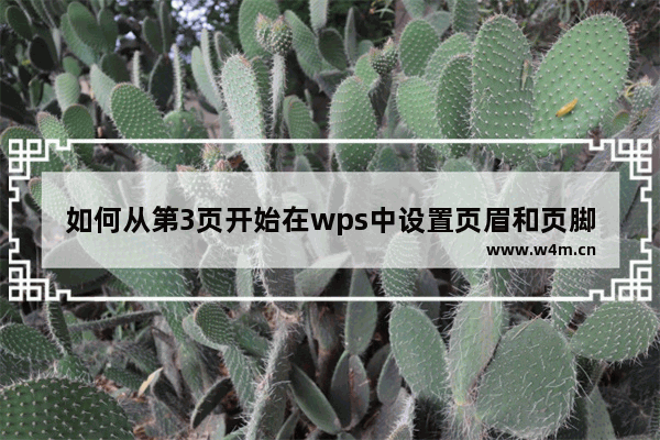 如何从第3页开始在wps中设置页眉和页脚(不需要封面)