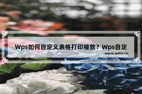 Wps如何自定义表格打印缩放？Wps自定义表格打印缩放的方法