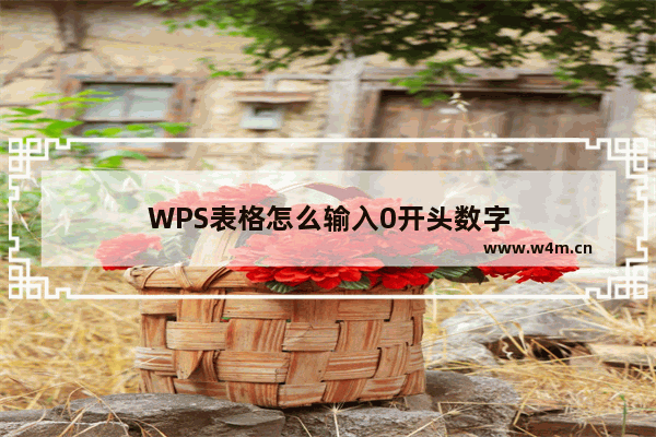 WPS表格怎么输入0开头数字