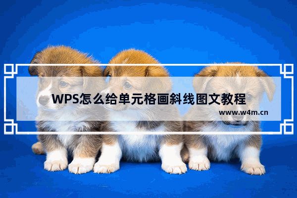 WPS怎么给单元格画斜线图文教程